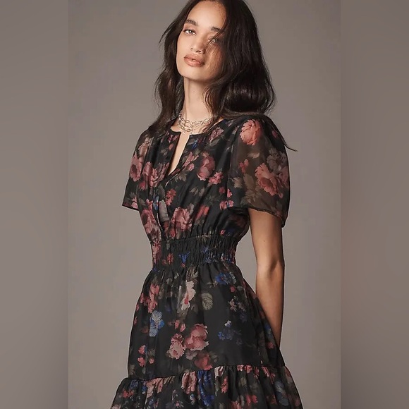 Anthropologie Dresses & Skirts - Anthropologie The Somerset Mini Dress: Organza Edition Size Small